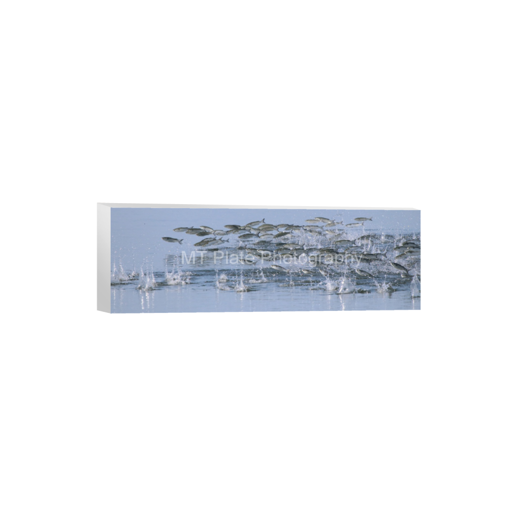 ptq_7_2_0_1620_6000_2000_0_false_ffffff_0_0_f7c6b1ca1fe2e3bcb826035f01cb0583.png