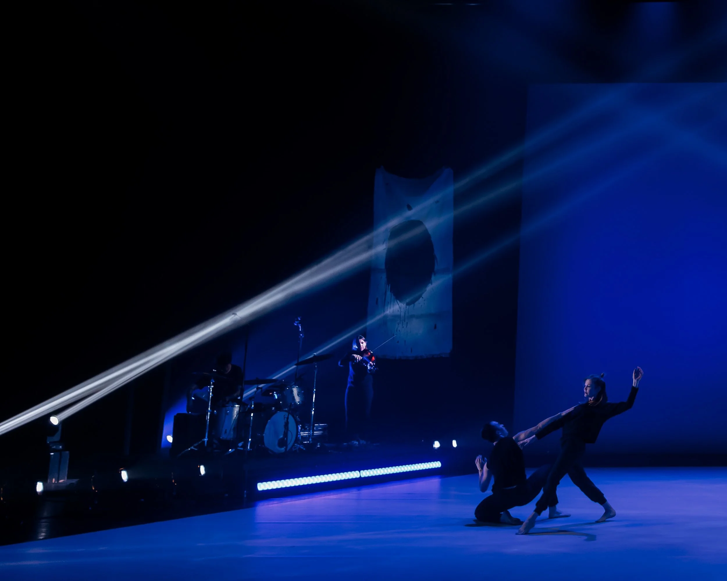 who we are in the dark (2019)