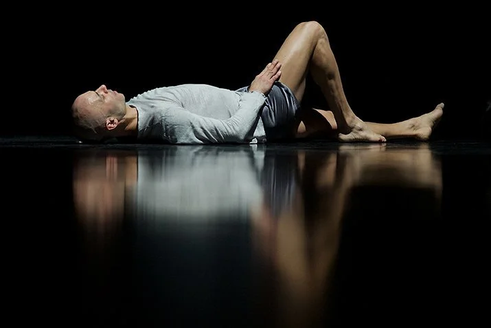 stone leaf shell skin (2014)