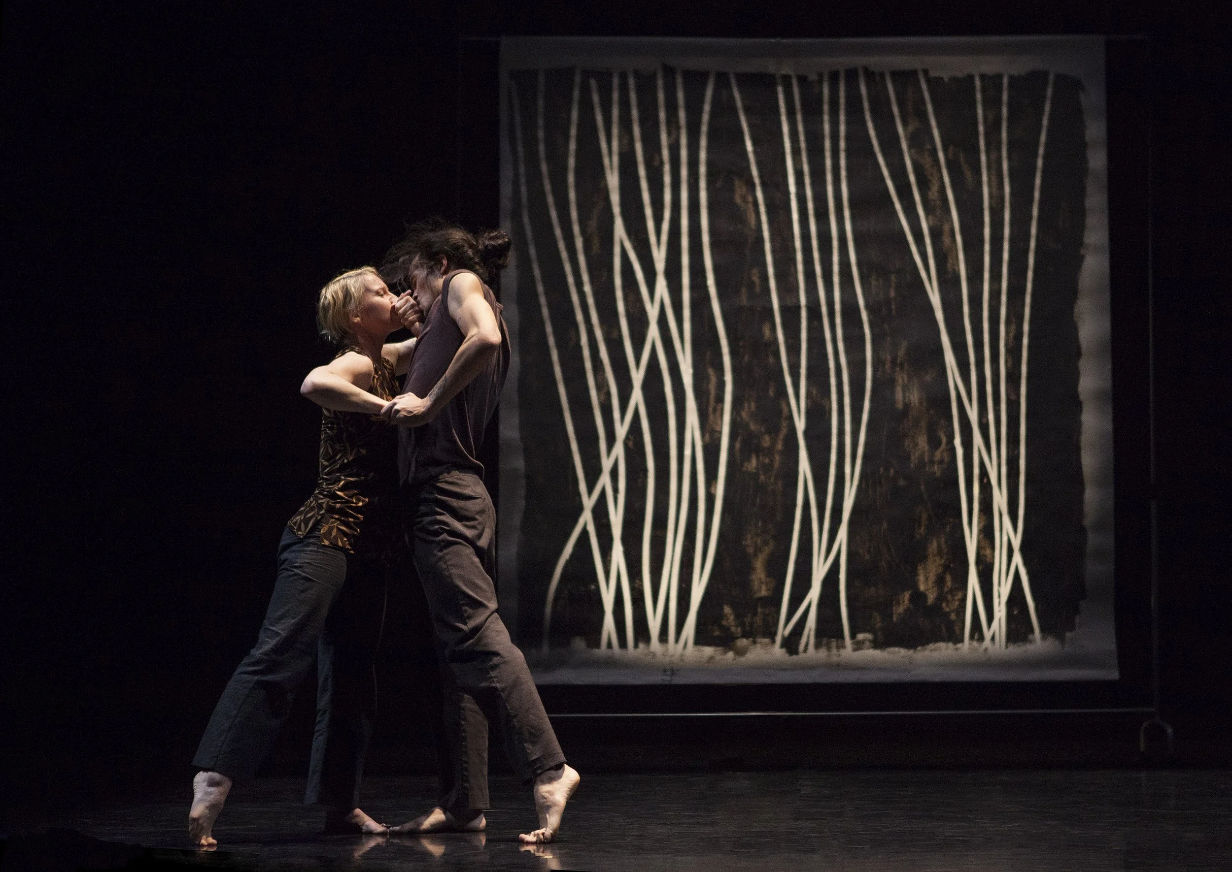 Split Screen Stereophonic (2013)