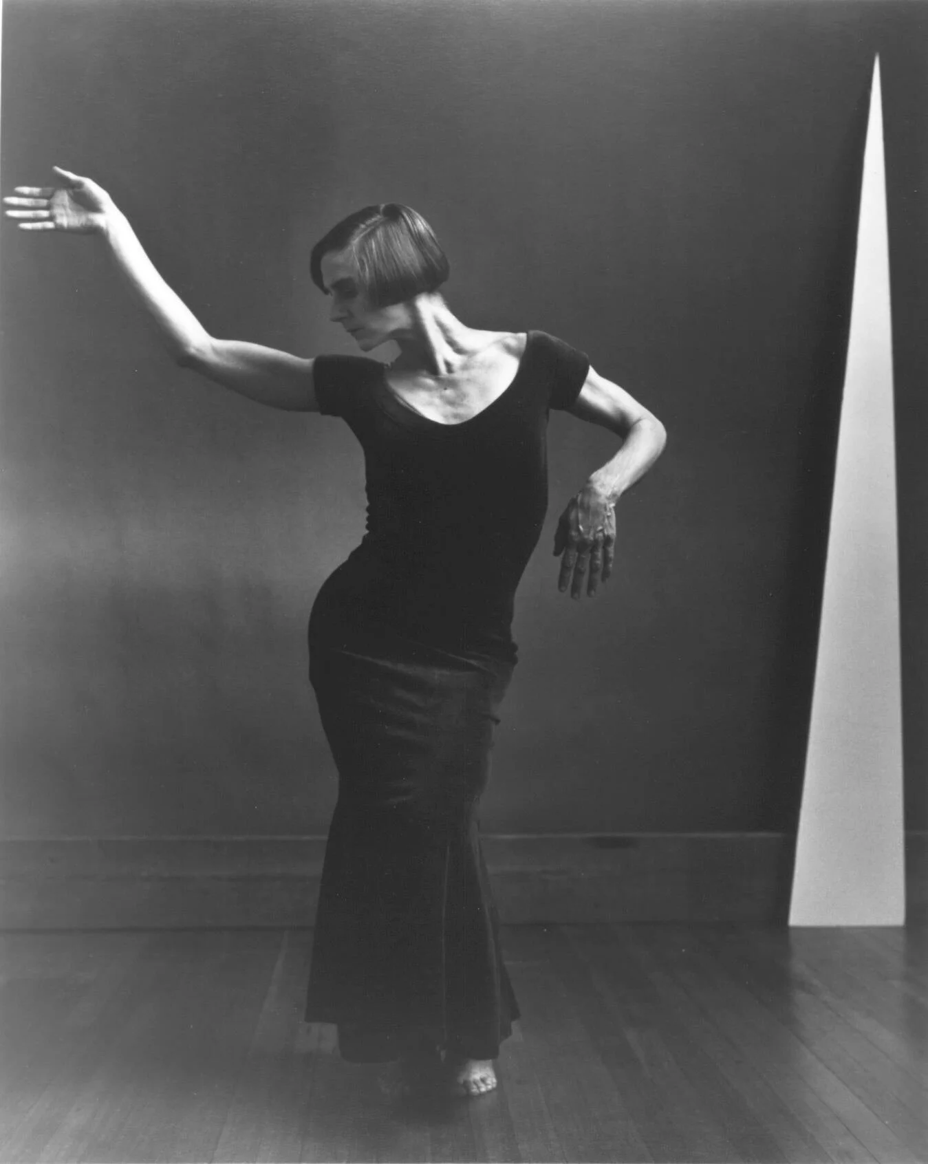 Welcome to the Creation Catalogue Blog!