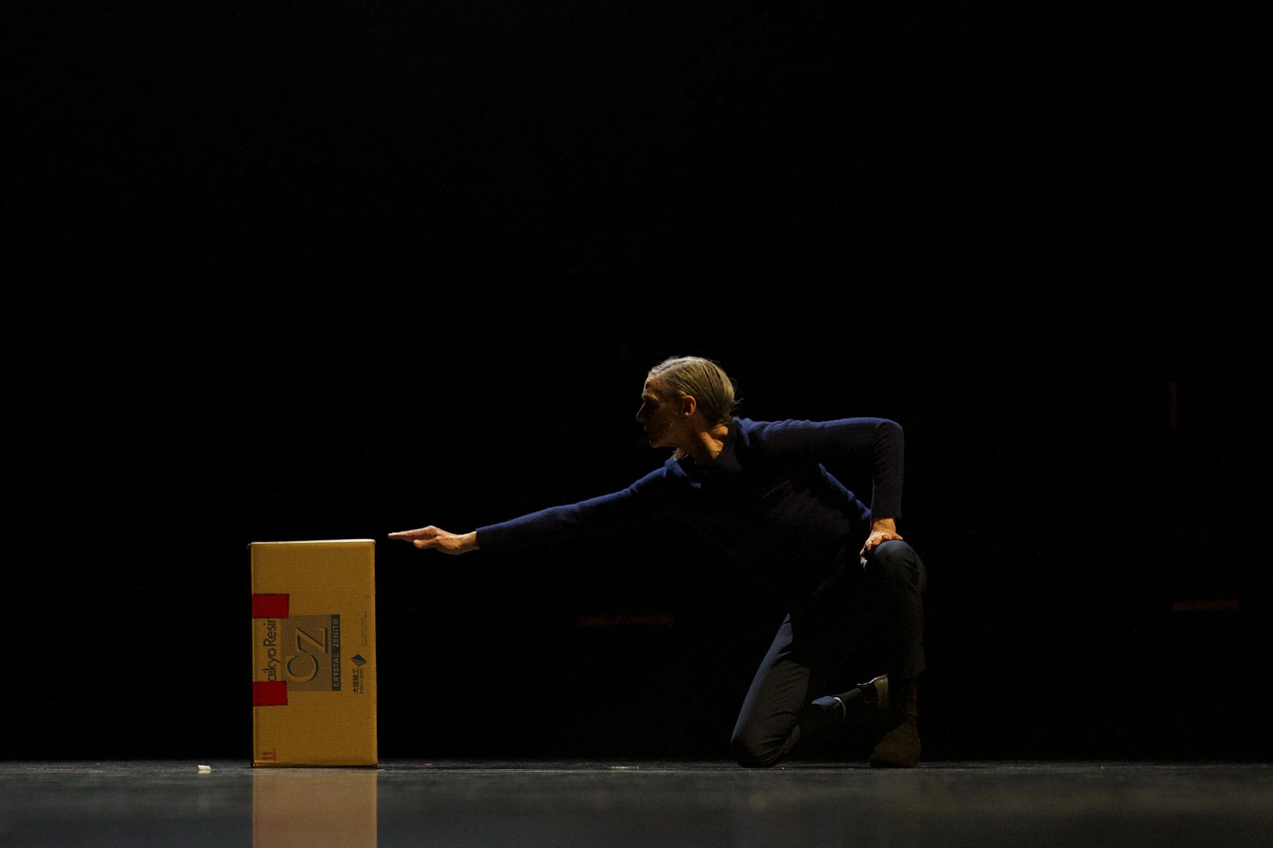 Box: la femme au carton (2011/2014)