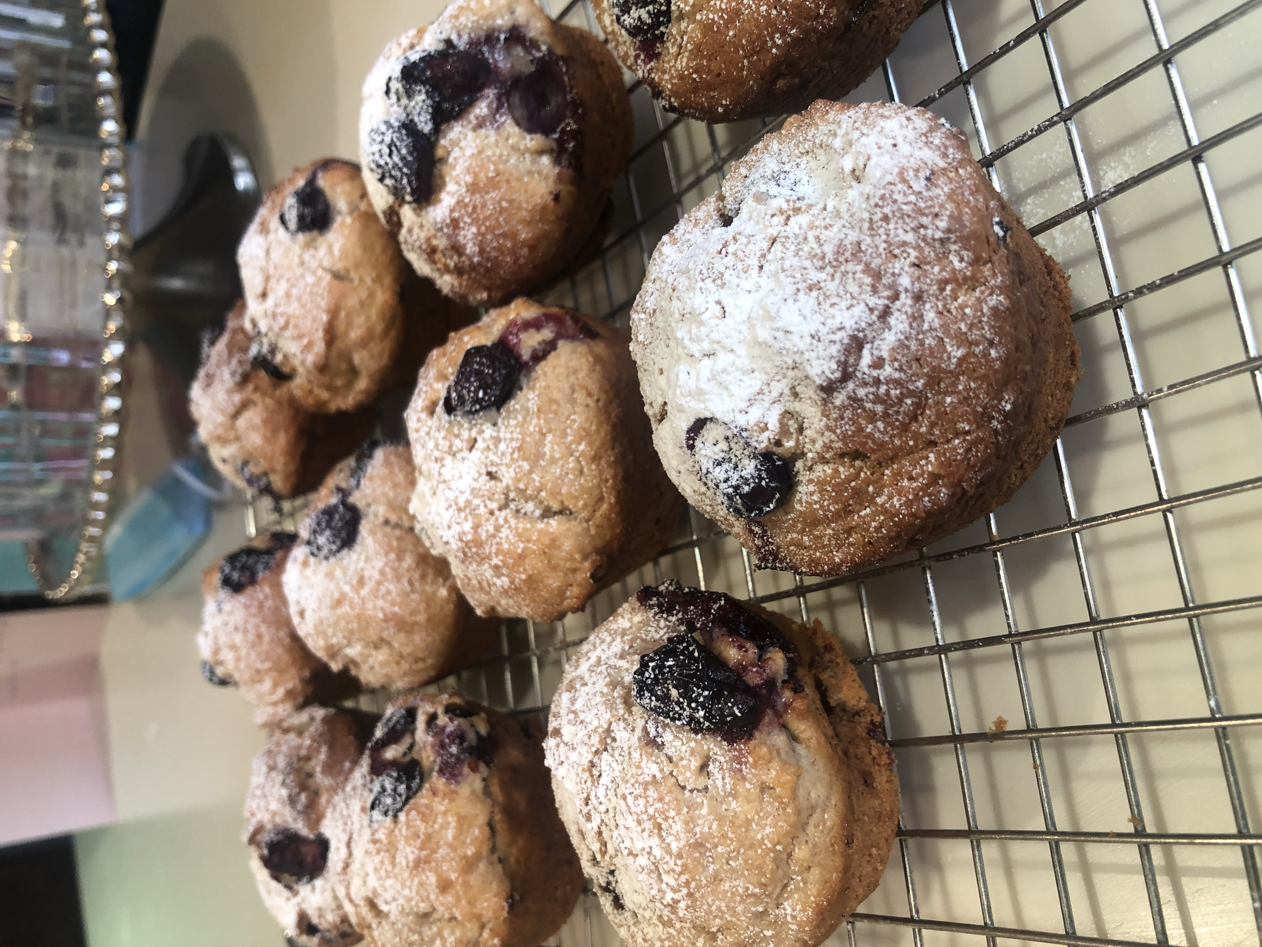 chocolate and blueberry breakfast muffins 