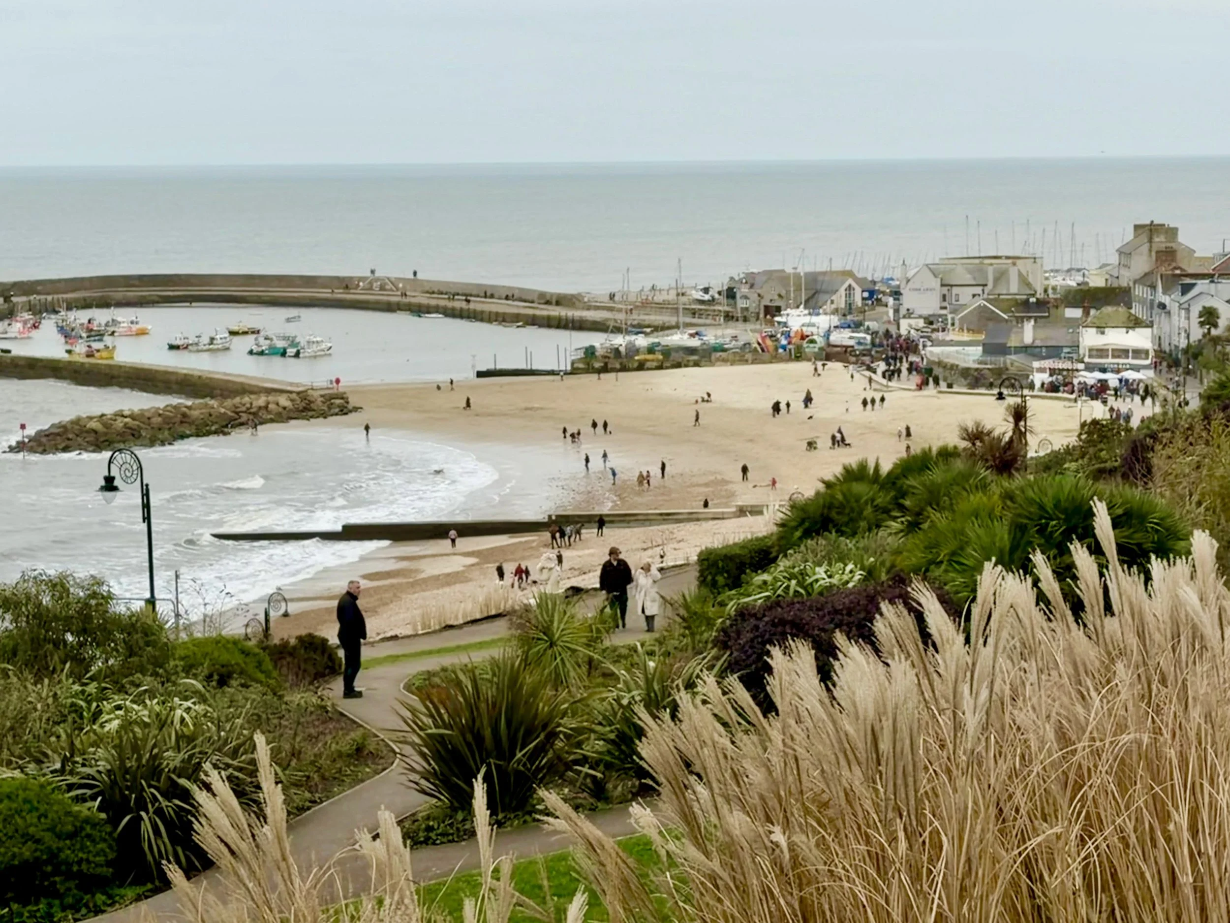 view of Lyme regis in the winter from the gardens