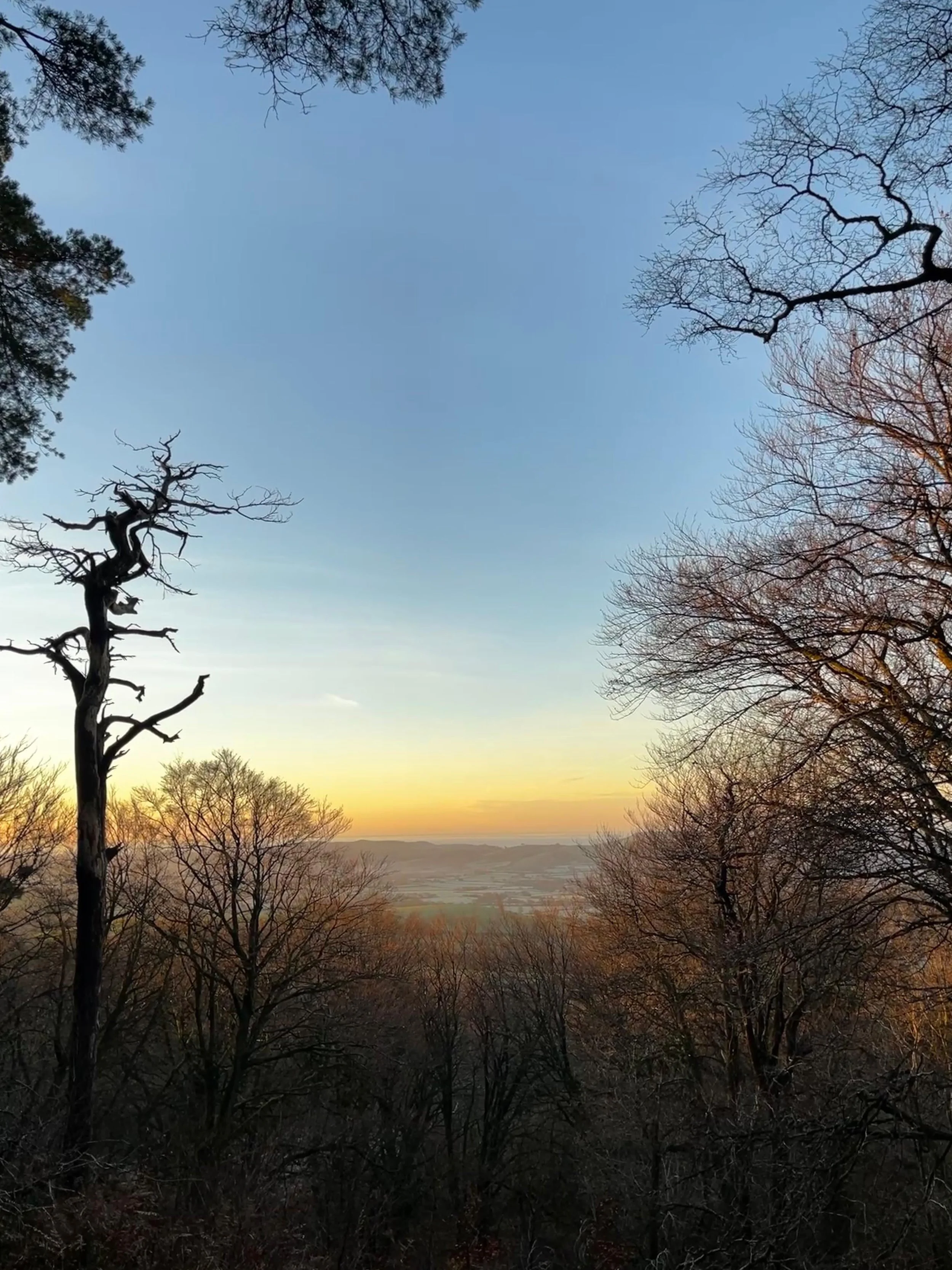 view from the top of lewesdon hill, Broadwindsor, Dorset
