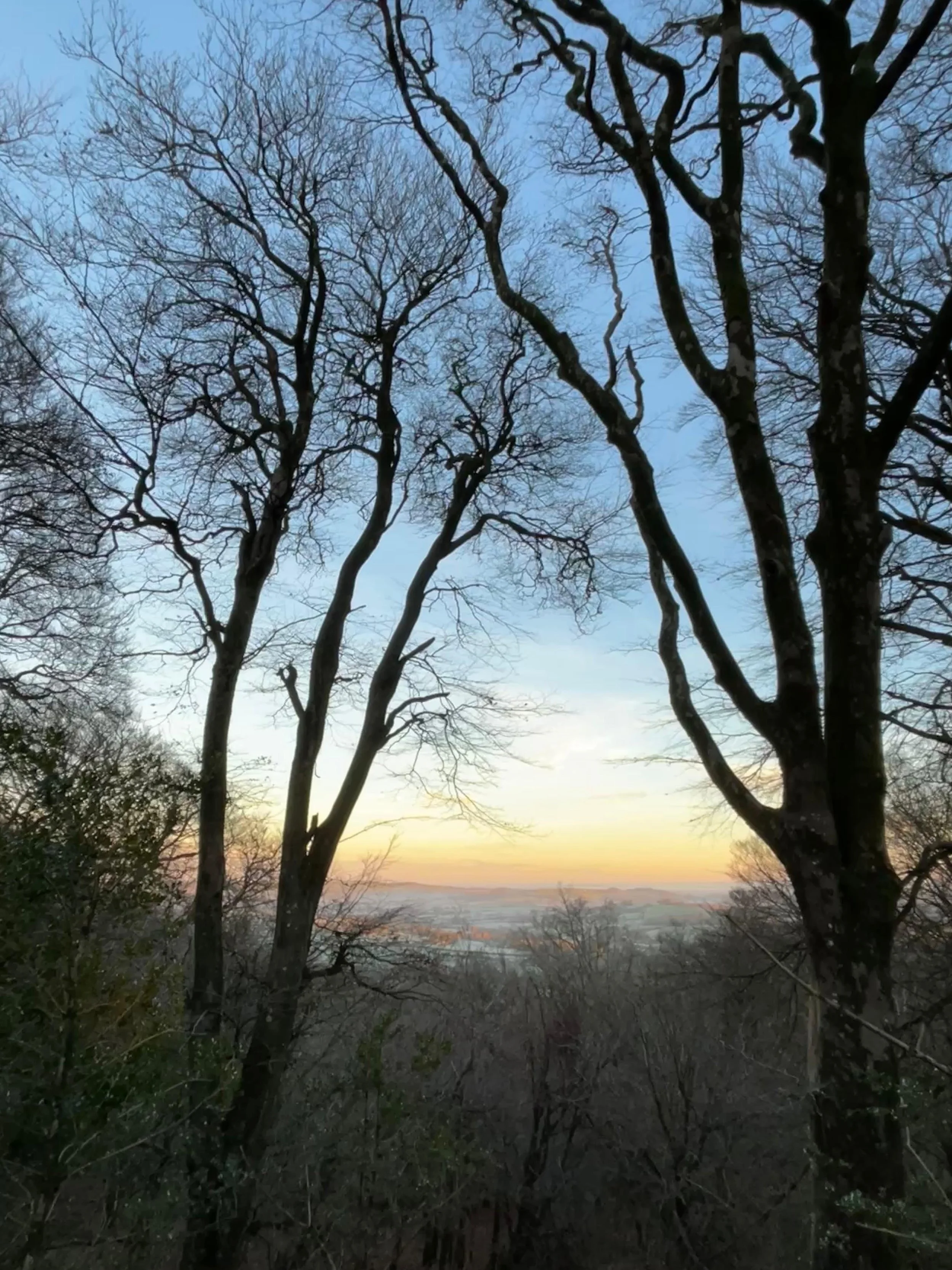 lewesdon hills looking towards Broadwindsor