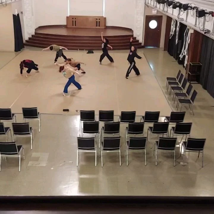 Thank you to all the dancers, artists, chicago danztheatre ensemble and audience members for all you did for Halloween Creepy Crawlies. We had such a blast from performing on @daytimechicagotv to being goofy in rehearsals and even having a furry masc