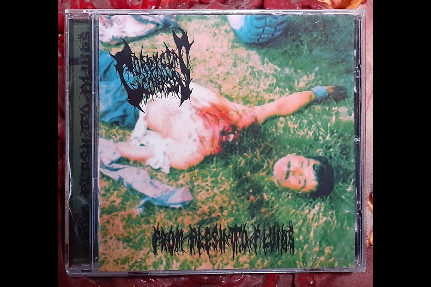 CORDYCEPS CORPSE - From Flesh to Fluids CD.jpg