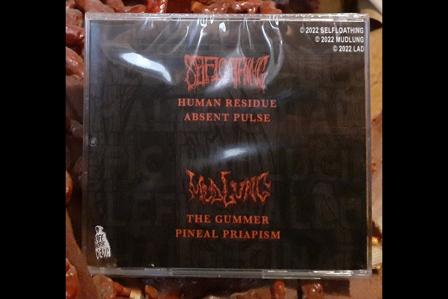 SELFLOATHING MUDLUNG - Split CD BACK.jpg