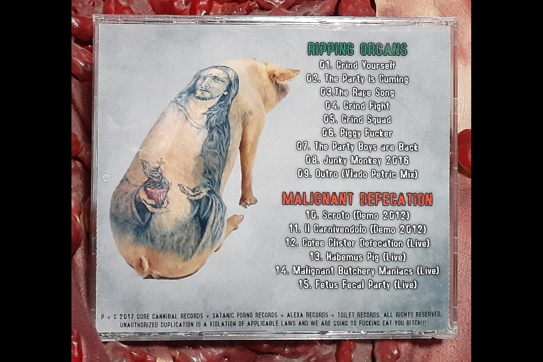 RIPPING ORGANS  MALIGNANT DEFECATION Split CD BACK.jpg