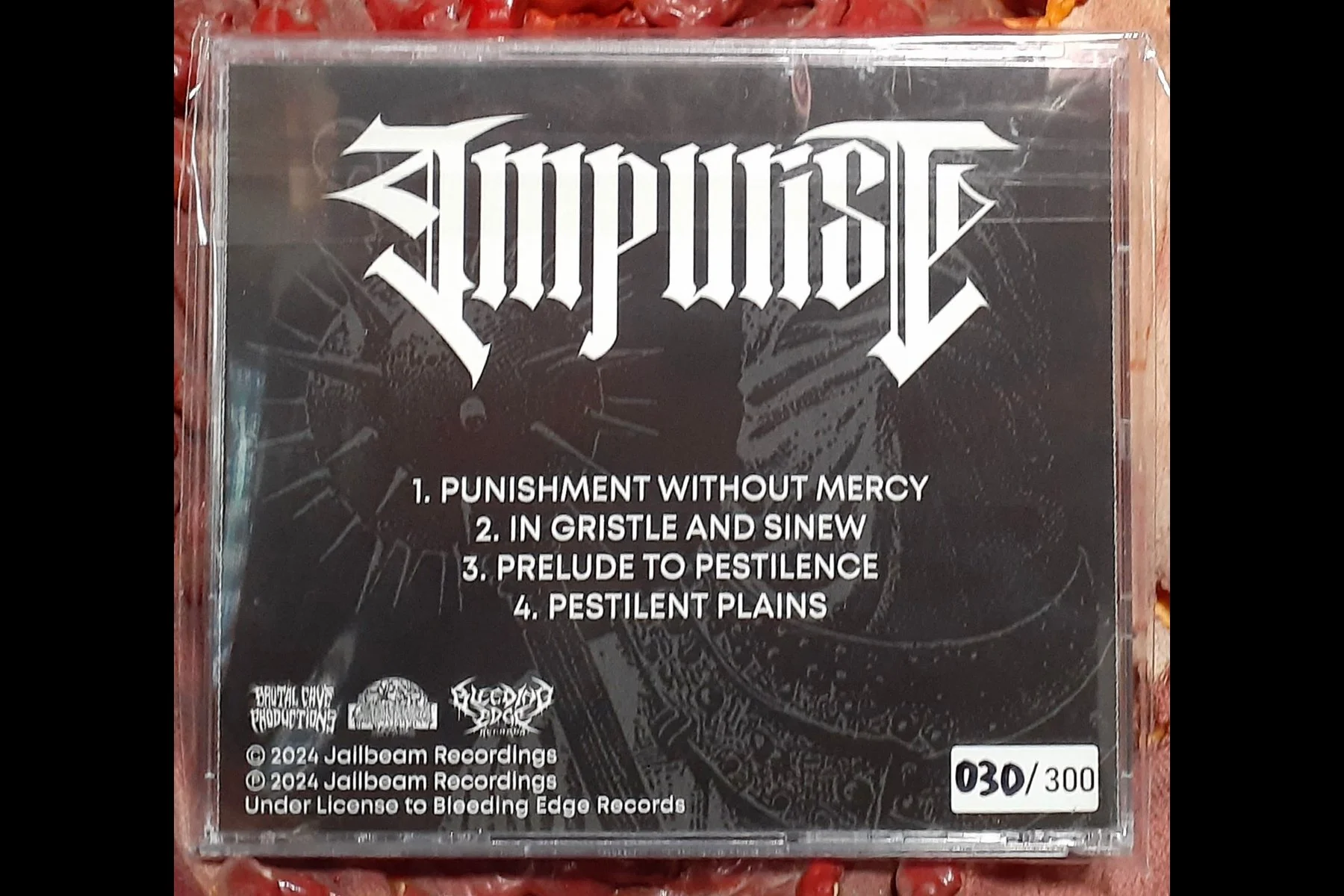 IMPURIST - Punishment Without Mercy CD Hand Numbered 300 BACK.jpg