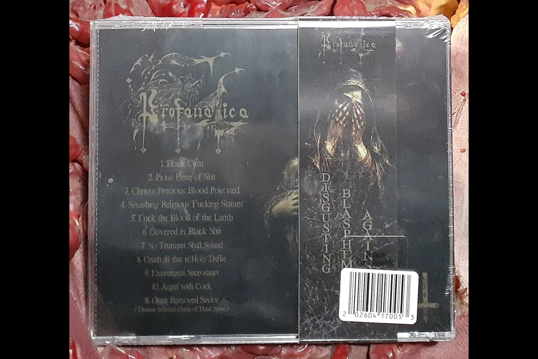 PROFANATICA - Disgusting Blasphemies Against God BACK.jpg
