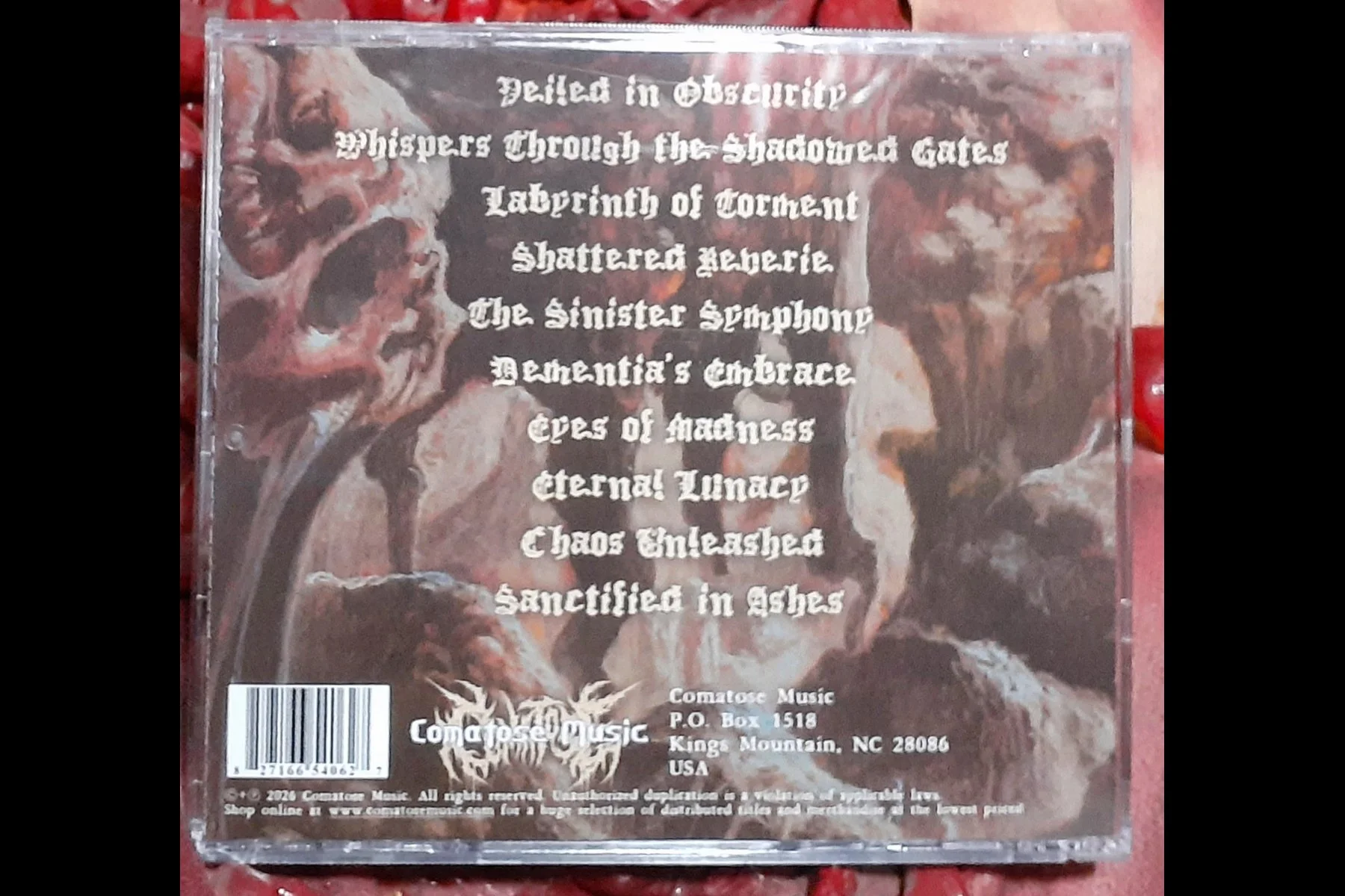 VILE DESOLATION - Annihilating the Consciousness CD BACK .jpg