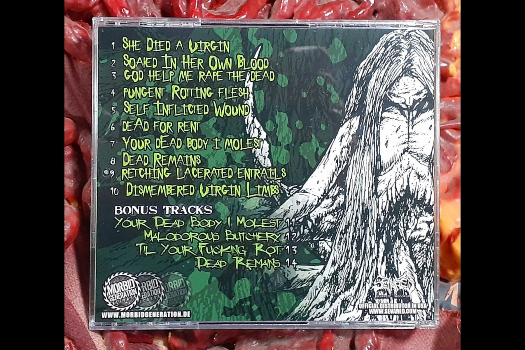 PUSVOMIT - Degrade the Worthless CD BACK.jpg