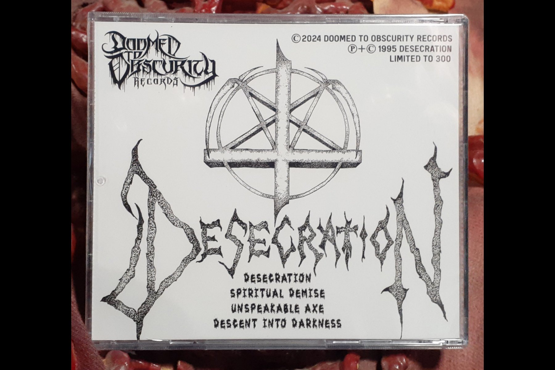 DESECRATION - Unspeakable Acts of Cruelty and Torture BACK.jpg