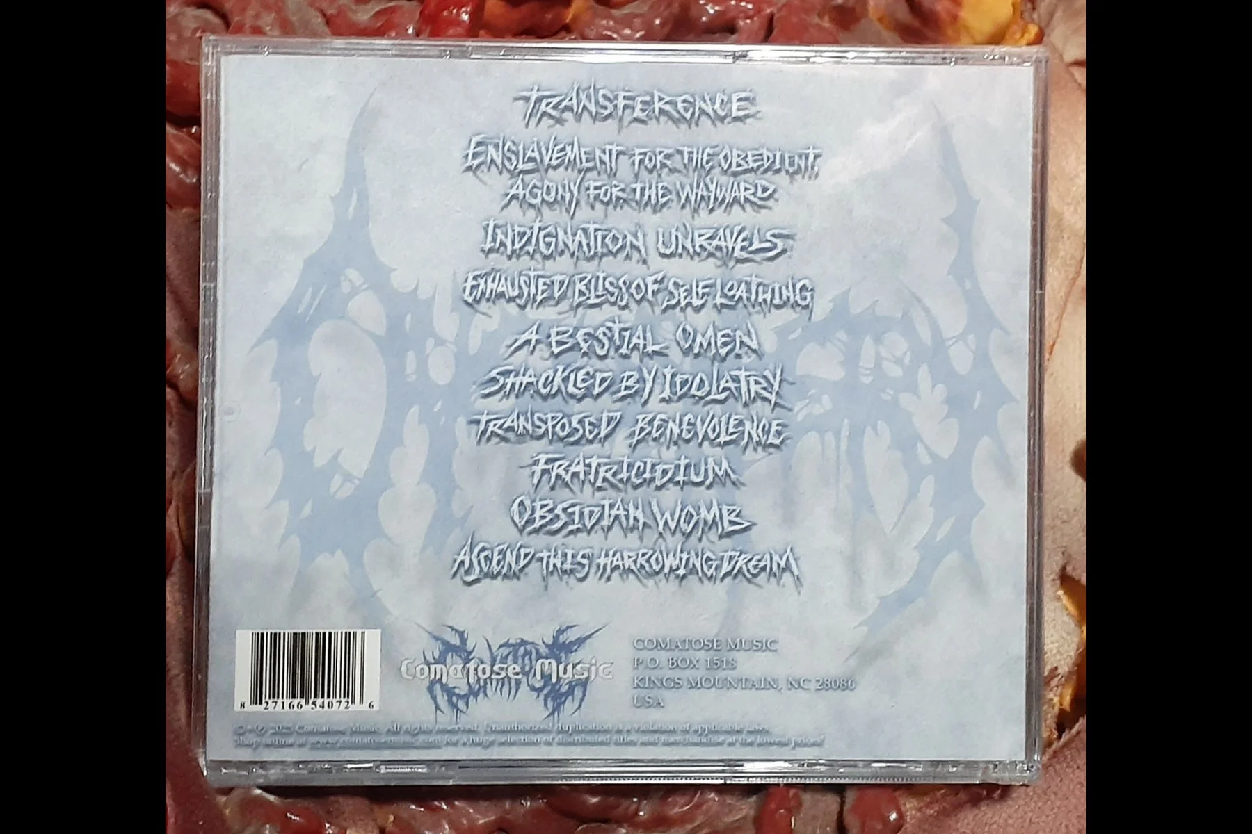 DYSENTERY - Dejection Chrysalis CD BACK.jpg