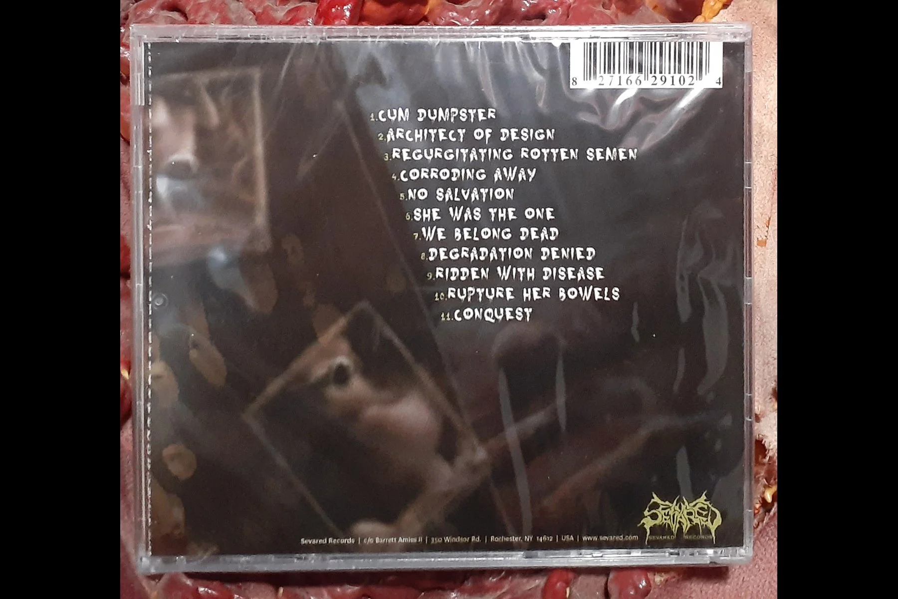 DIMINISHED - Regurgitating Rotten Semen CD BACK.jpg
