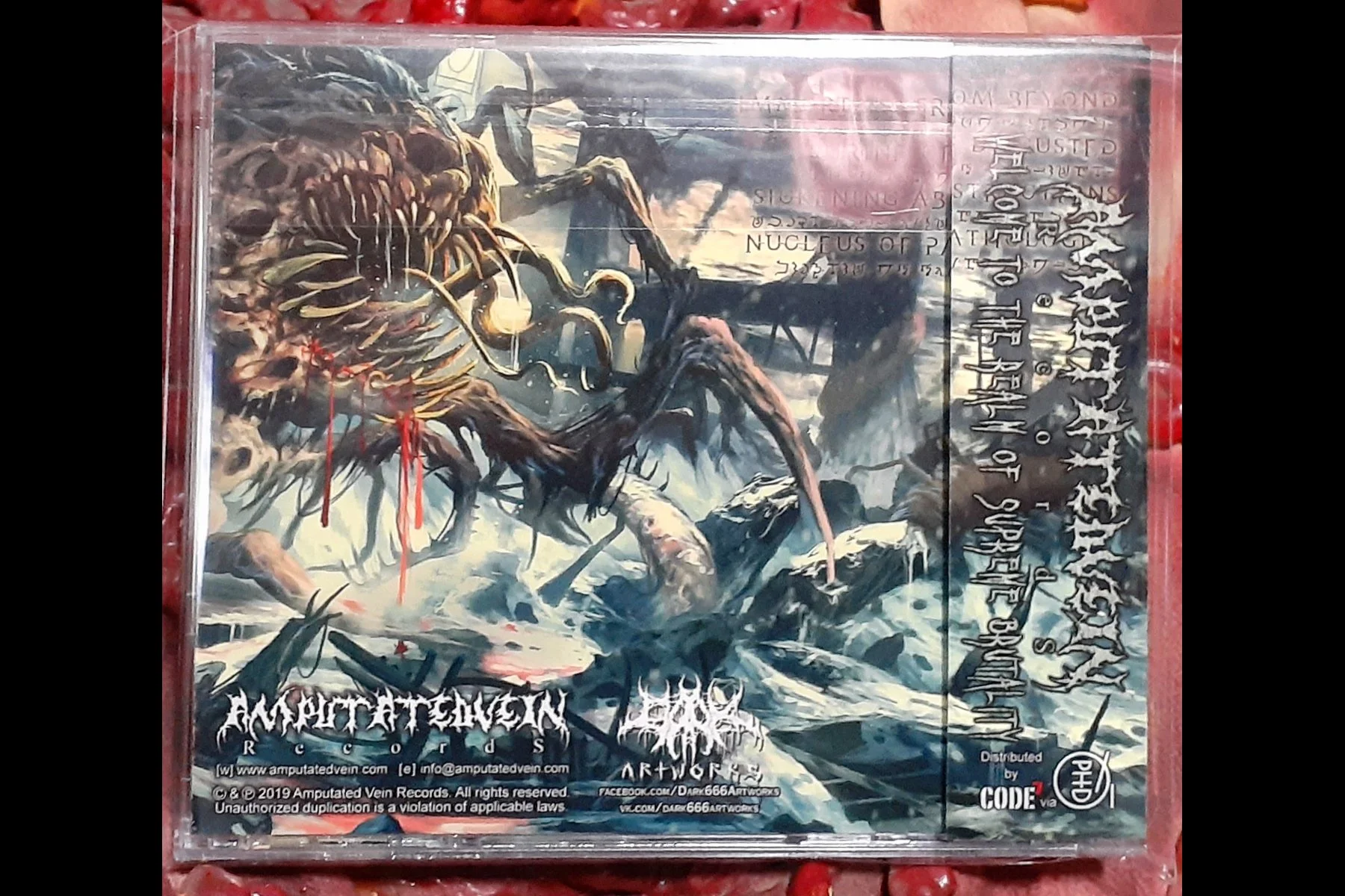 DISFIGUREMENT OF FLESH – Shrine of Immortals MCD BACK.jpg