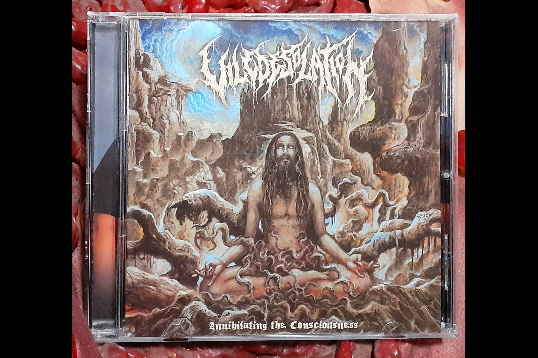 VILE DESOLATION - Annihilating the Consciousness CD