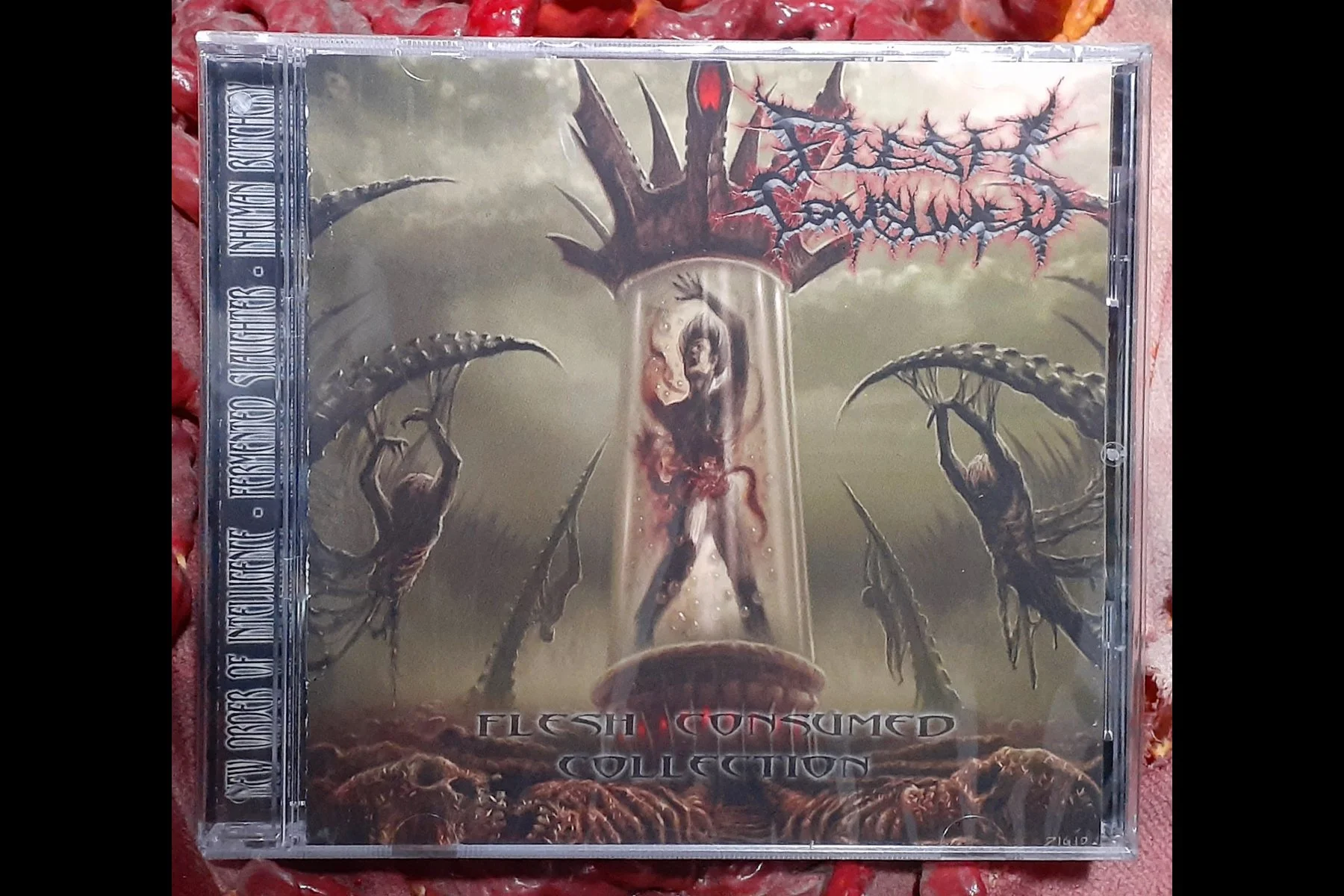 FLESH CONSUMED- Flesh Consumed Collection CD.jpg