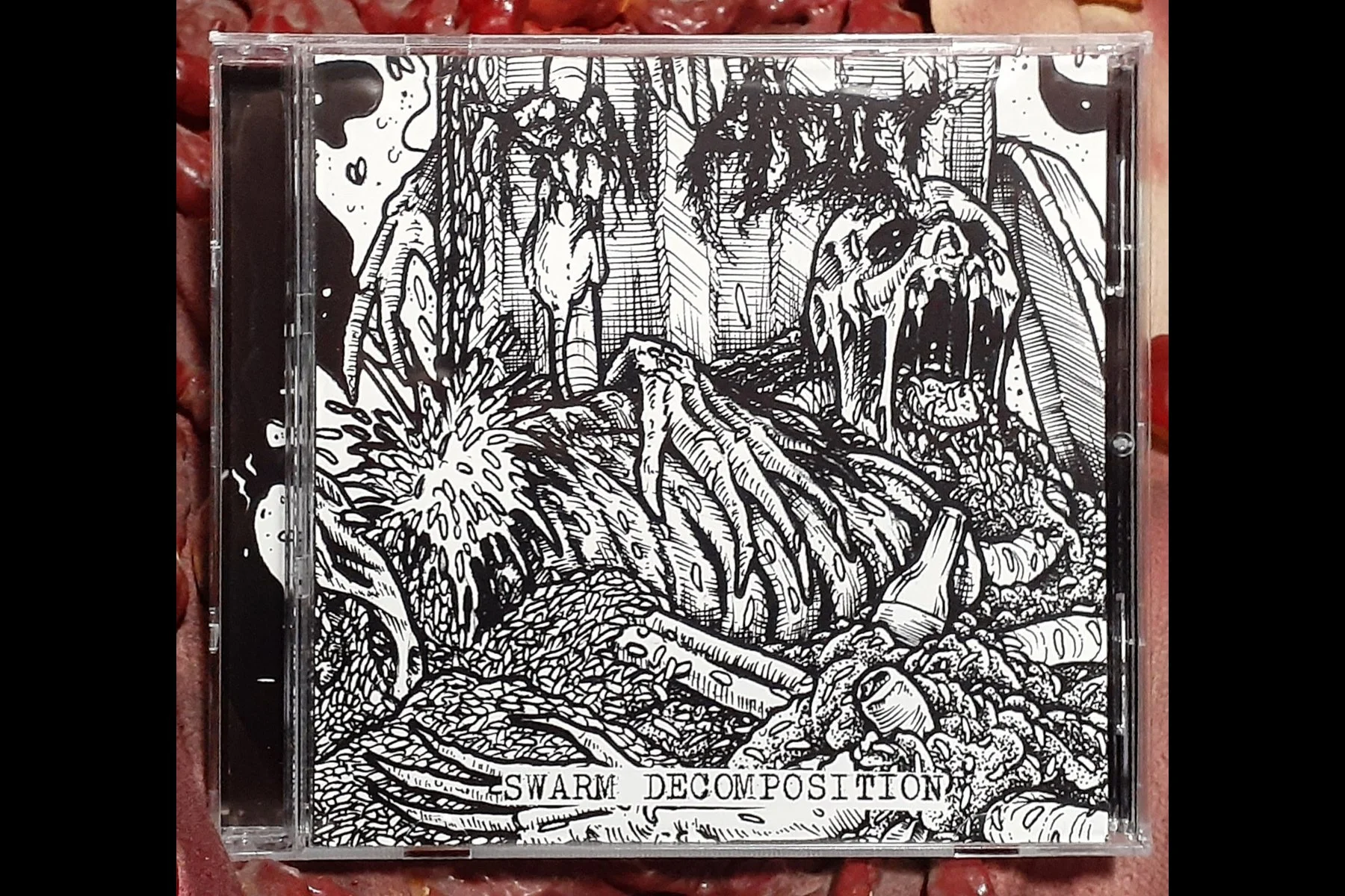 RAW ADDICT  - Swarm Decomposition CD.jpg