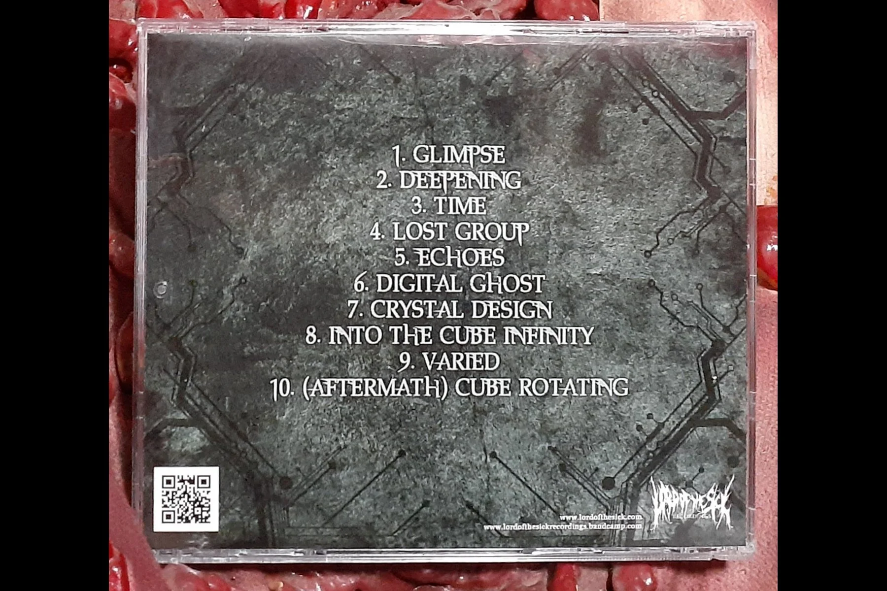 RECONSTRUCTED TORSO - Glimpse CD BACK.jpg