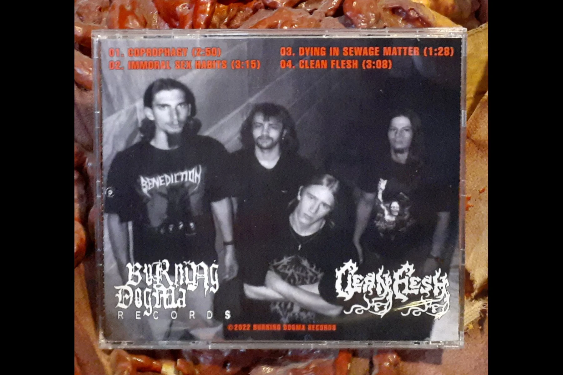 CLEAN FLESH - Self Titled CD BACK.jpg