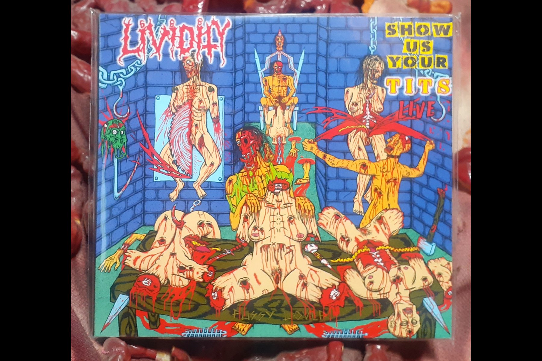LIVIDITY - Show us your Tits Live - Rejoice Morbidity CD.jpg