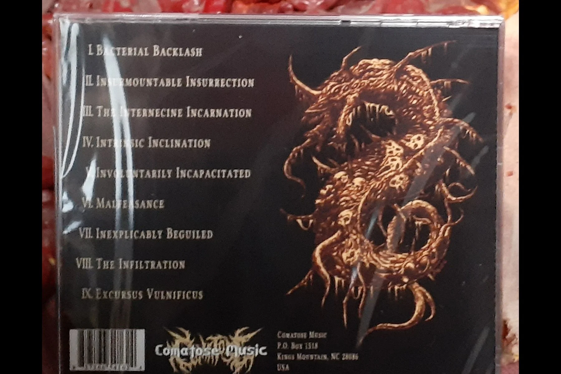 VULNIFICUS – Inclination CD BACK.jpg