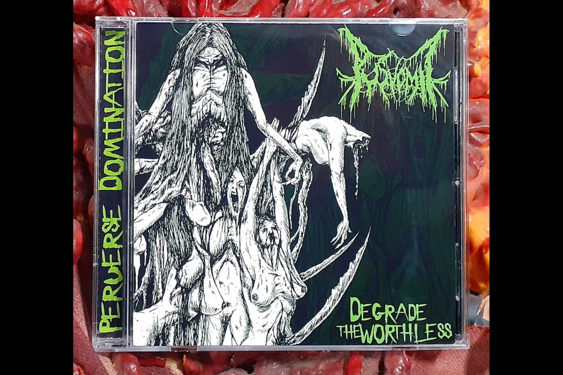 PUS VOMIT - Degrade The Worthless CD (German press)