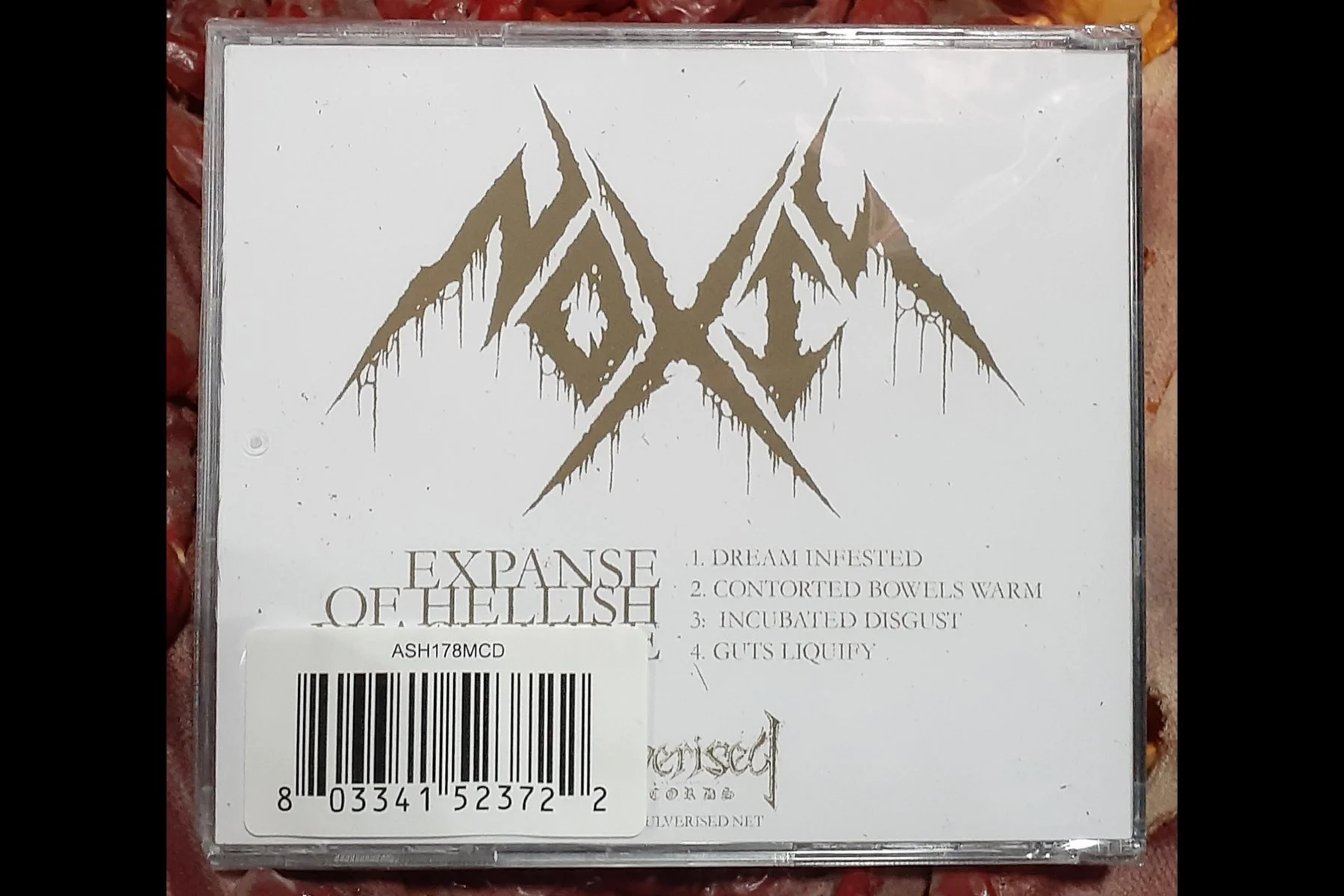 NOXIS - Expanse of Hellish Black Mire MCD BACK .jpg