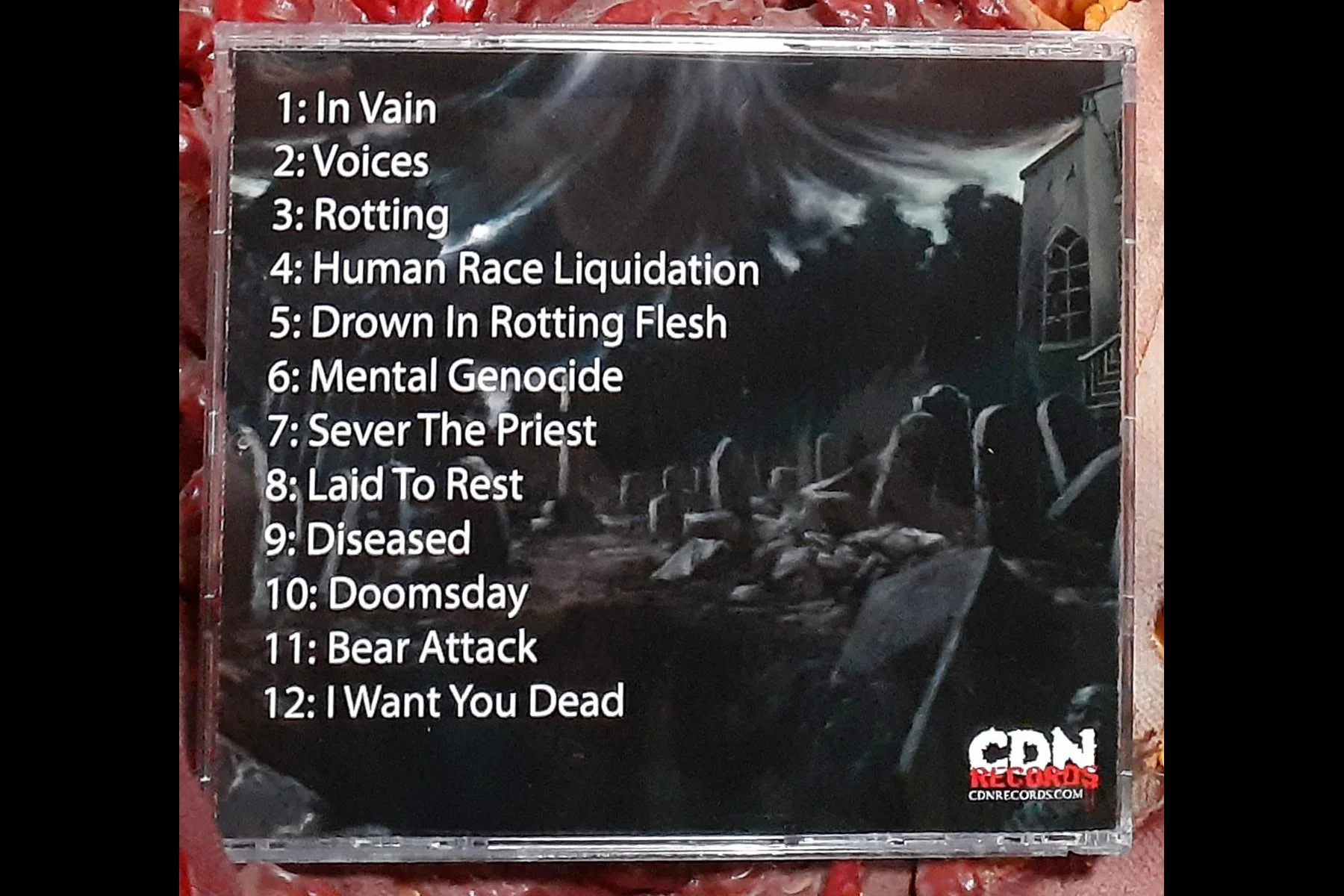 ROTTING - The Forgotten CD BACK.jpg