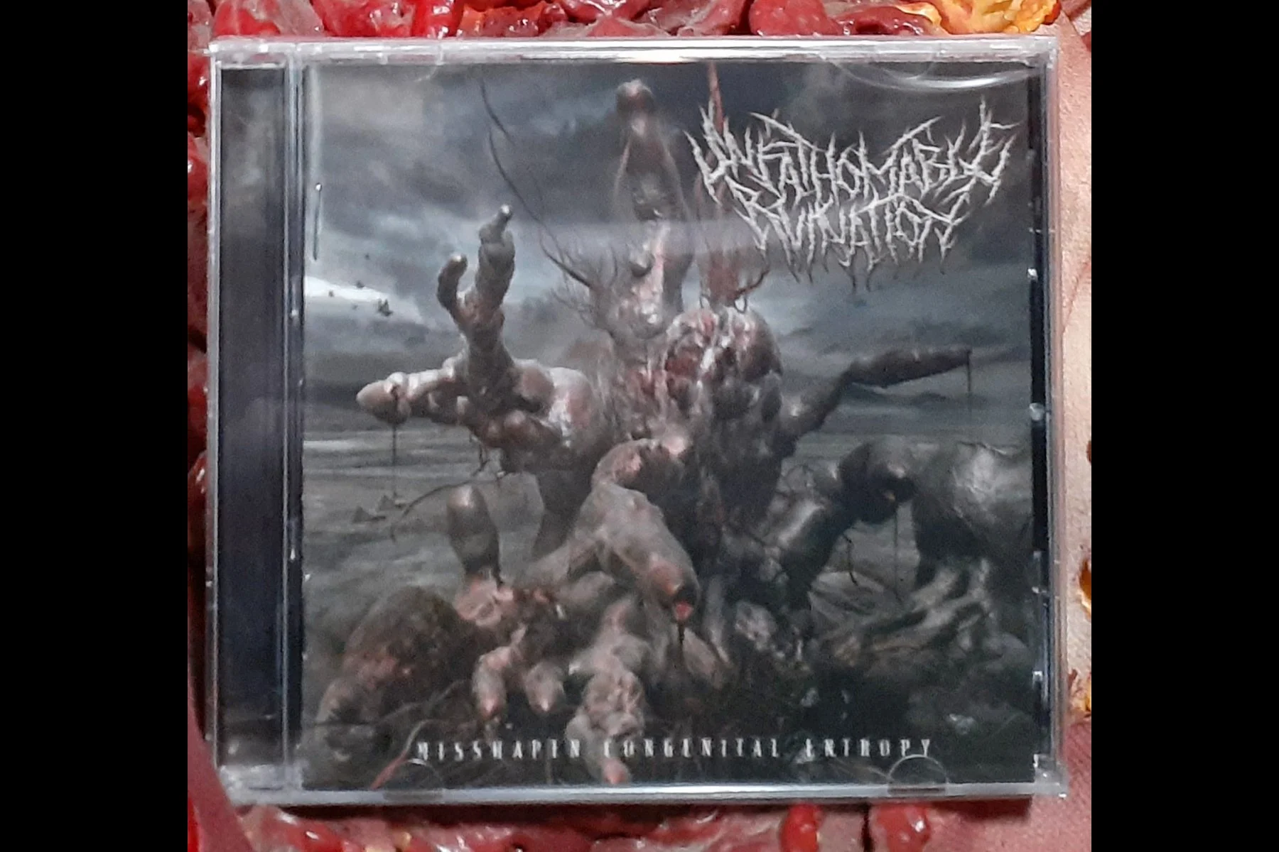UNFATHOMABLE RUINATION- Misshapen Congenital Entropy CD.jpg