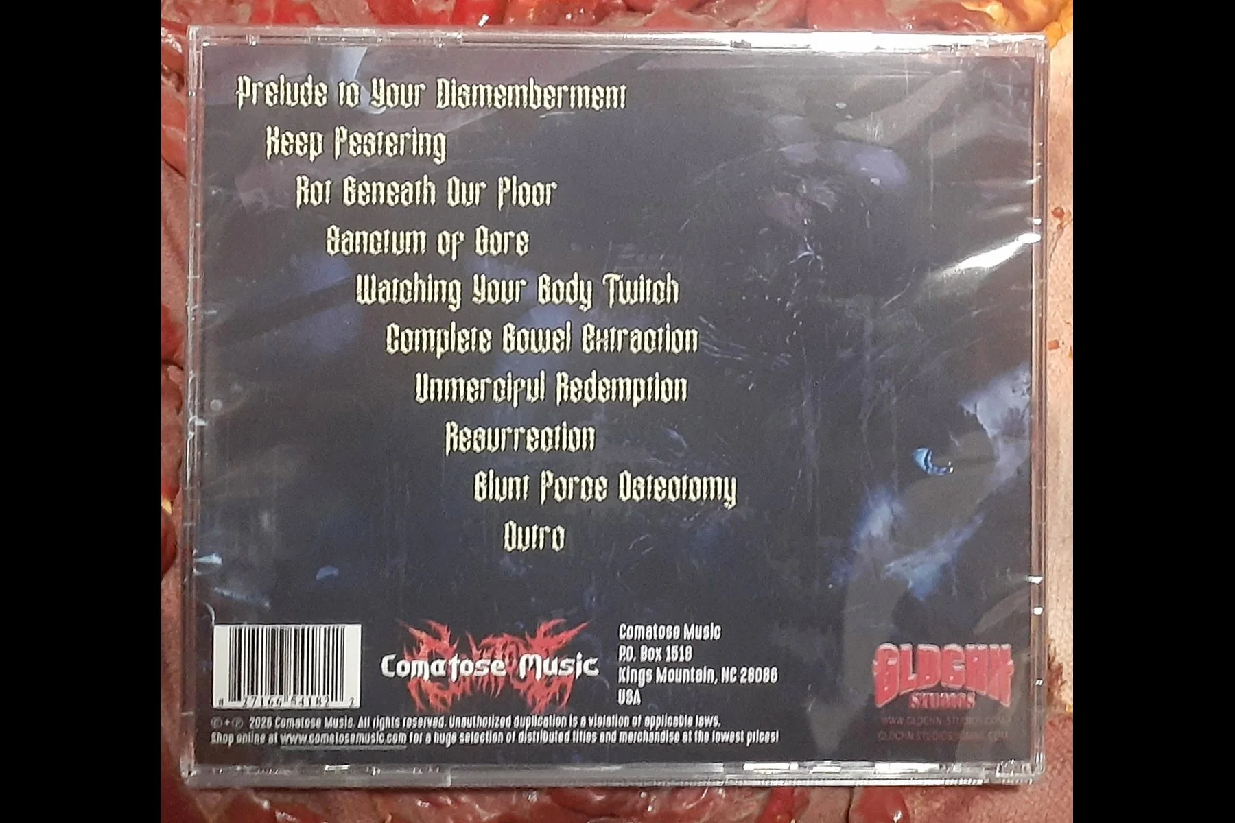 ENGORGEMENT - They Rot Beneath Our Floor CD BACK.jpg