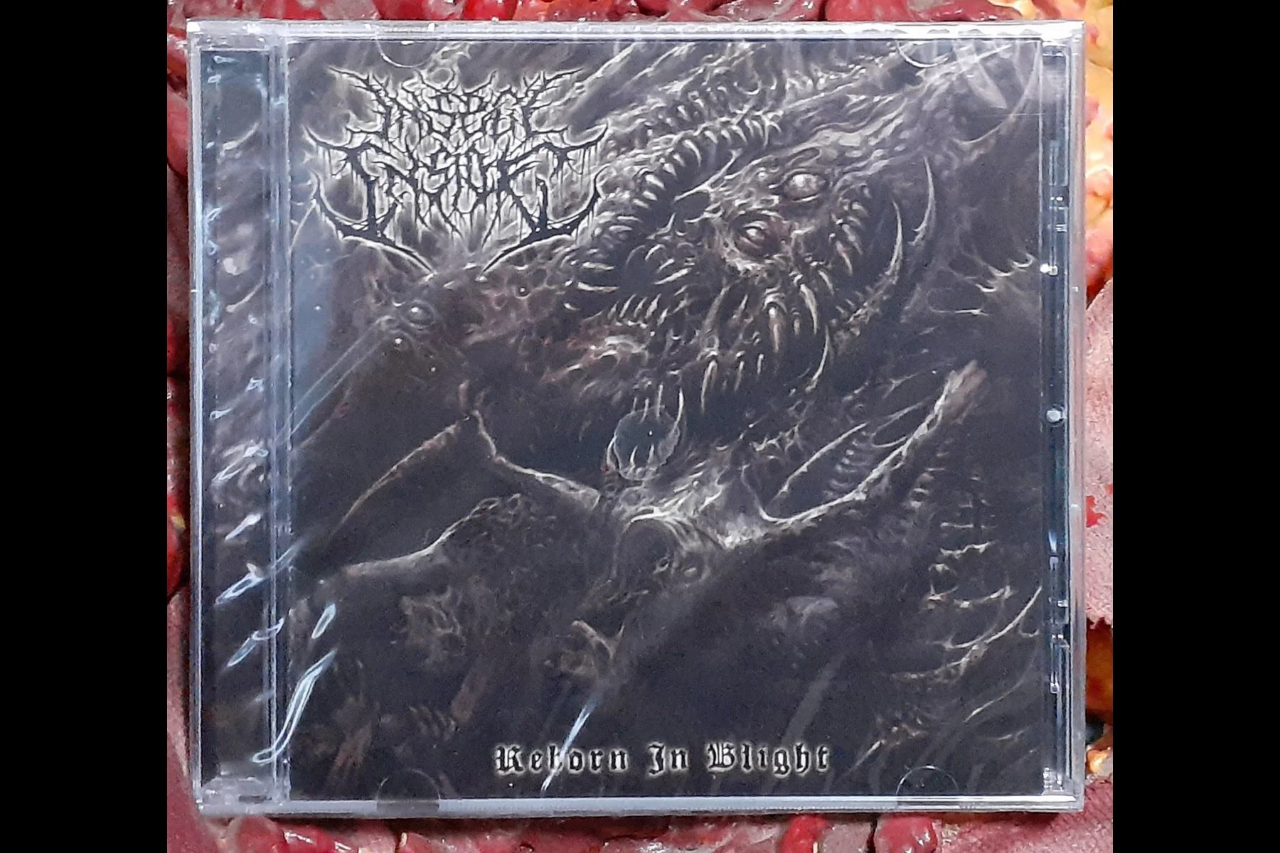 INSECT INSIDE - Reborn in Blight CD.jpg