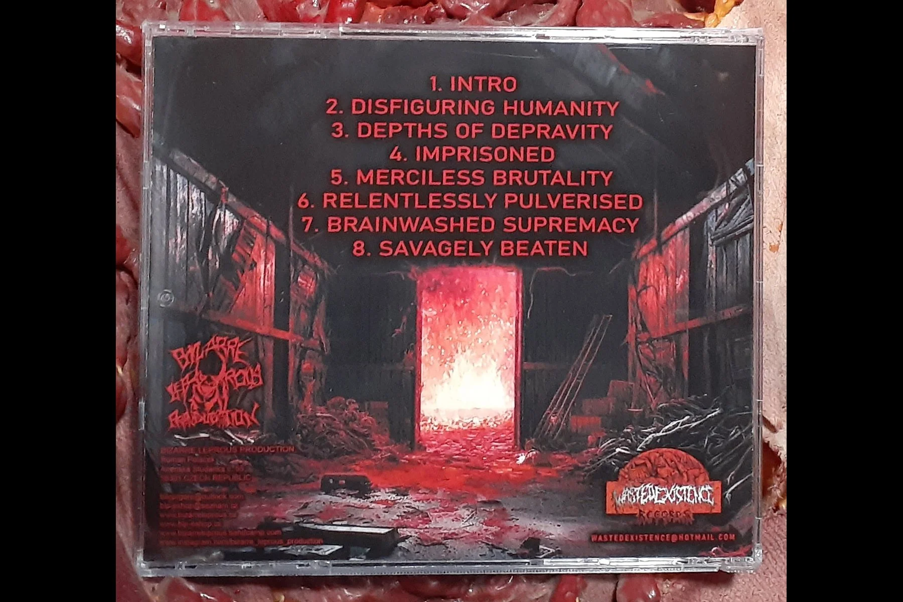 PORKFARM - Disfiguring Humanity CD BACK.jpg