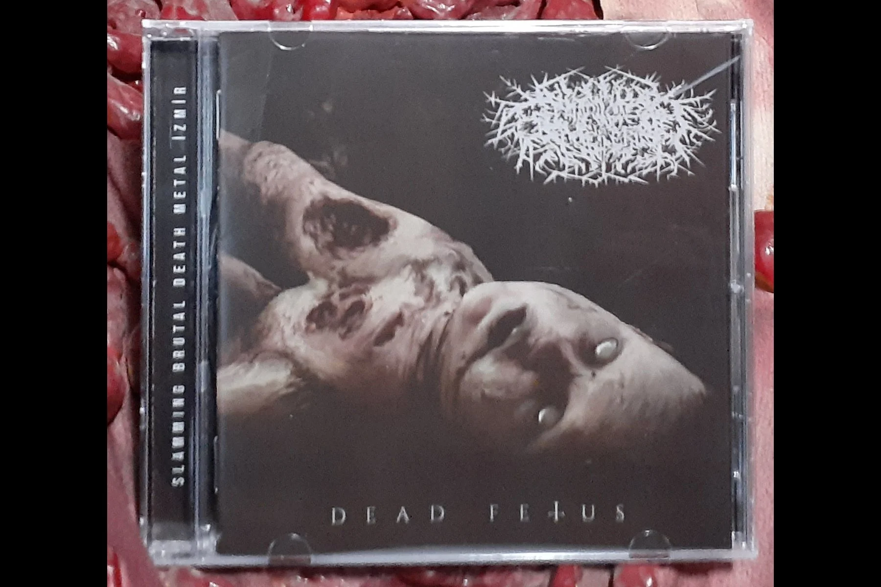 PAVYON GECELERI - Dead Fetus CD w/pit art