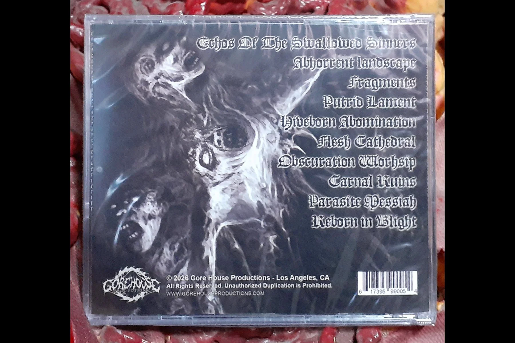 INSECT INSIDE - Reborn in Blight CD BACK.jpg