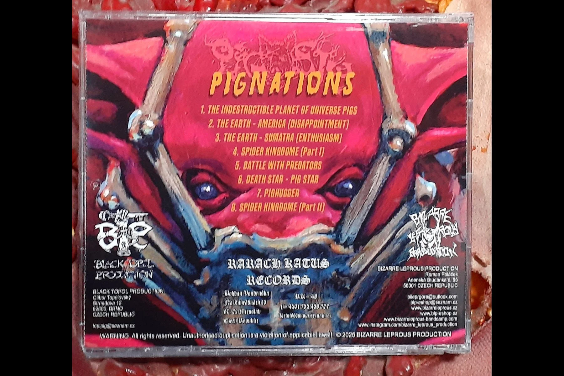 PIGSTY - Pignation CD BACK.jpg