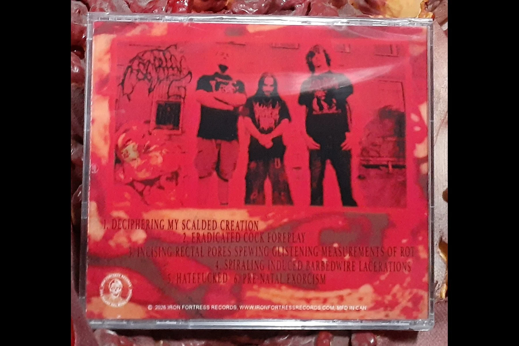 COAGULATING - Deciphering My Scalded Creation MCD BACK.jpg