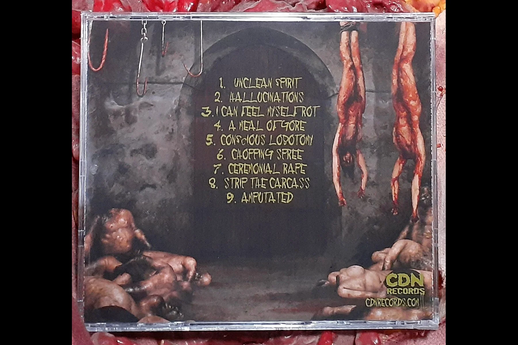 GAFFED - I Can Feel Myself Rot CD BACK.jpg