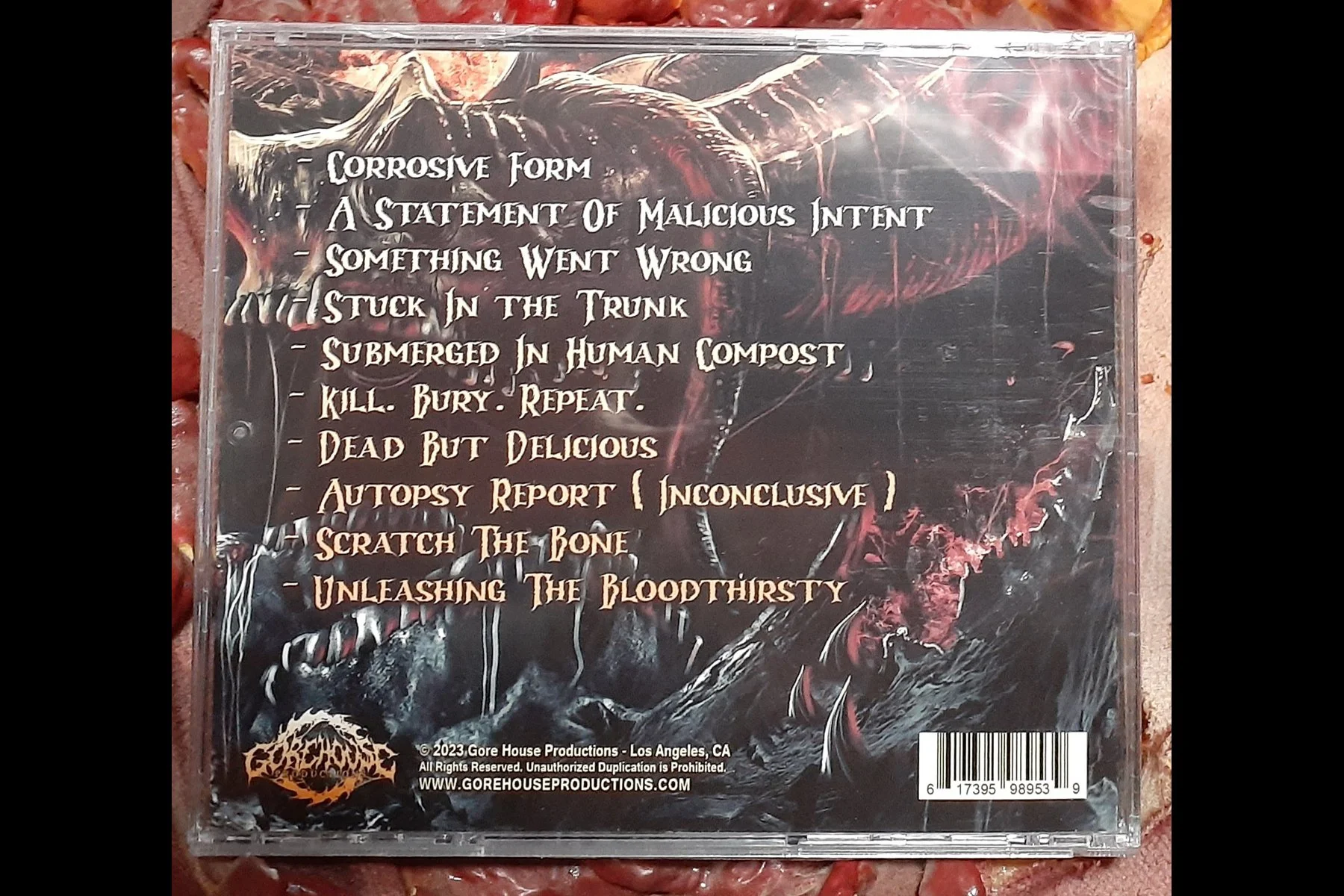 TORN THE FUCK APART -  Kill Bury Repeat BACK.jpg