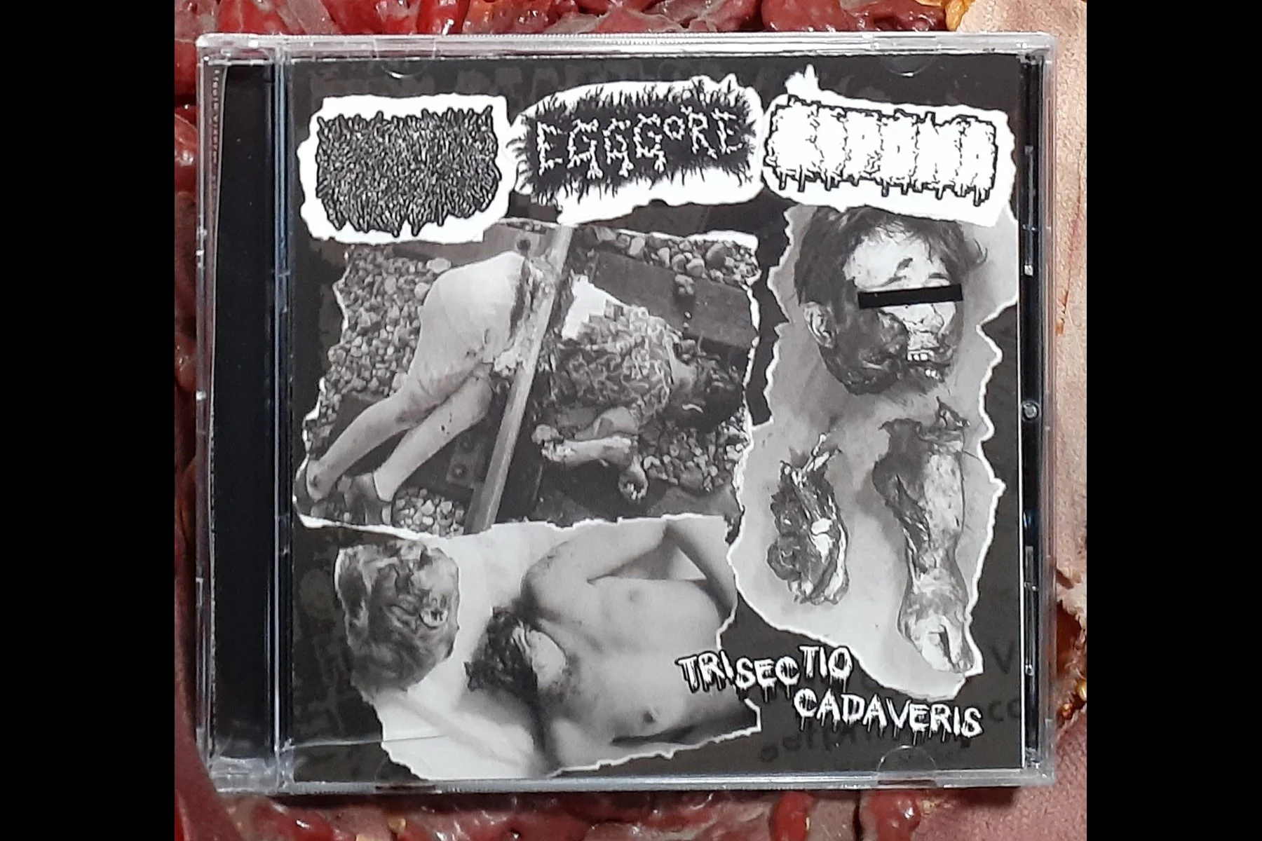 LIQUID VISCERA  EGGGORE  LIPOMA – 3way Split CD.jpg