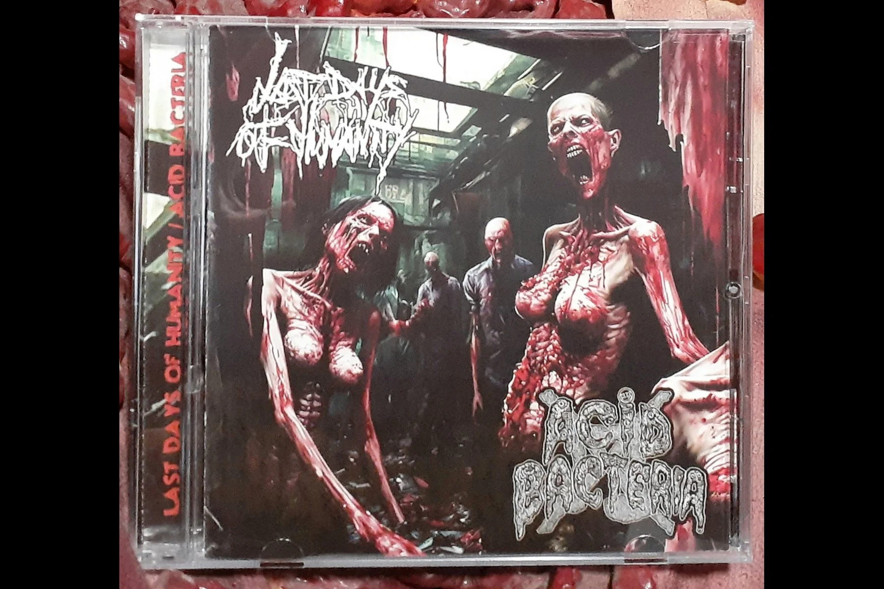LAST DAYS OF HUMANITY / ACID BACTERIA - SPLIT CD