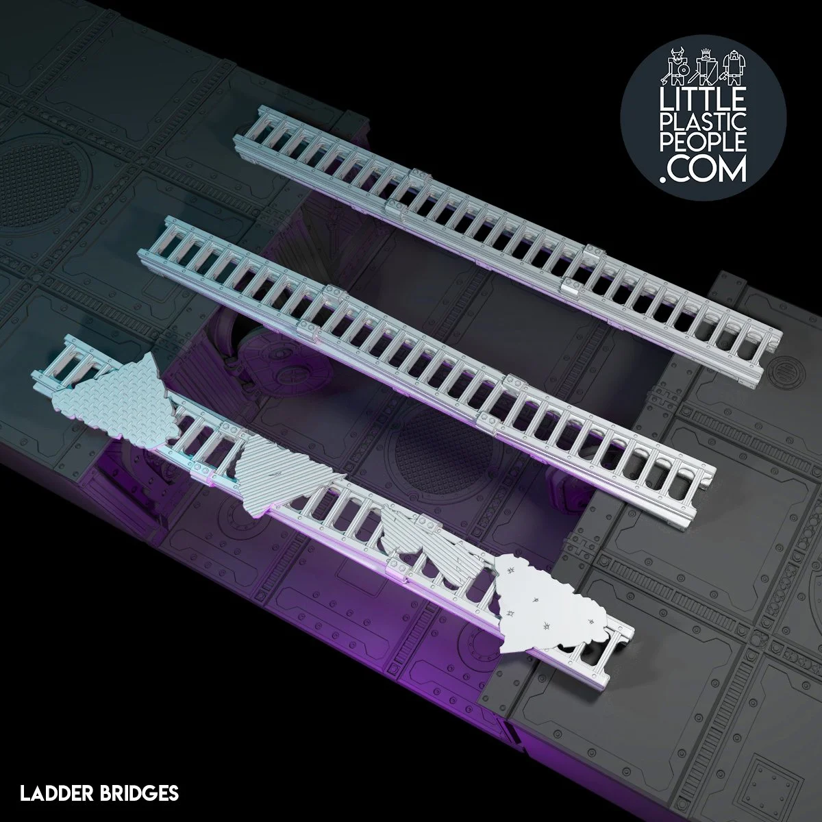 LADDER BRIDGES.jpg