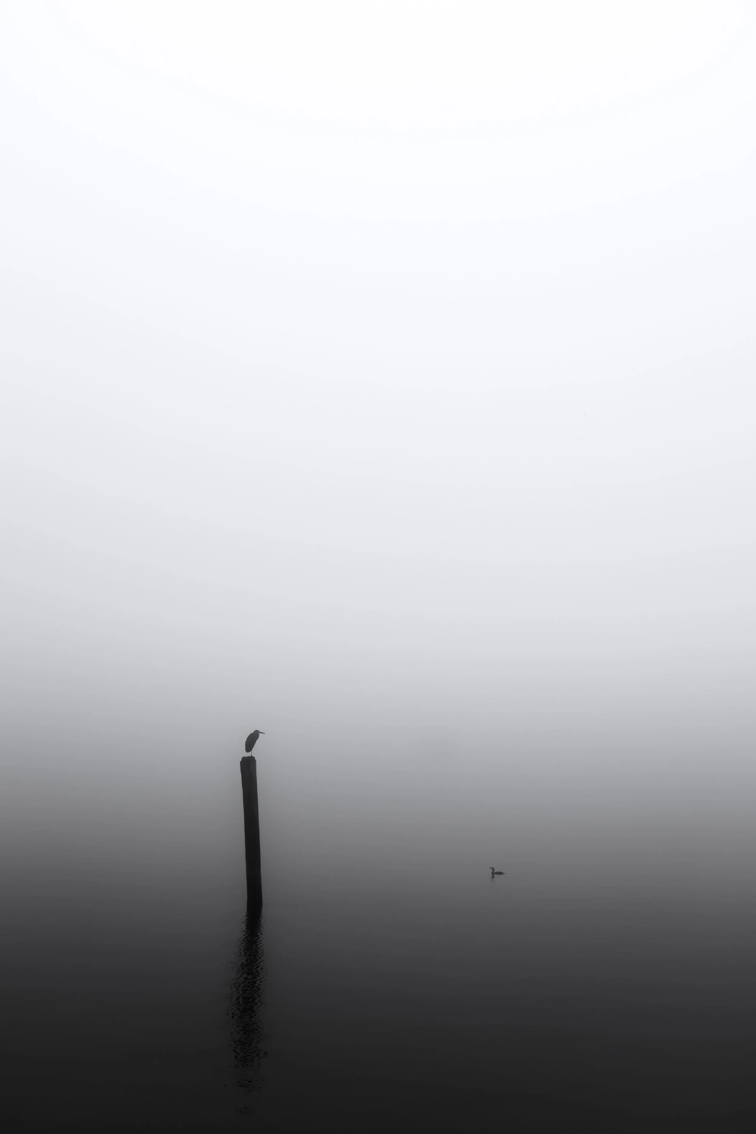 EtherealFog-4.jpg