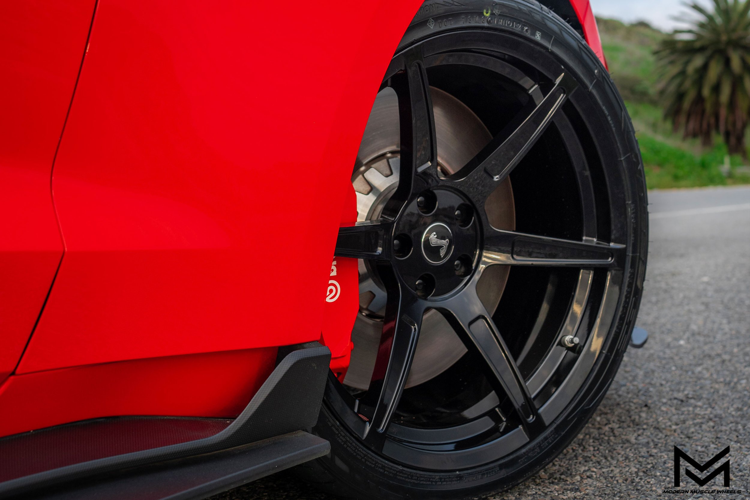 modern-muscle-wheels-forged-venom-series-m6r-gloss-black-shelby-gt500-red-05.jpg