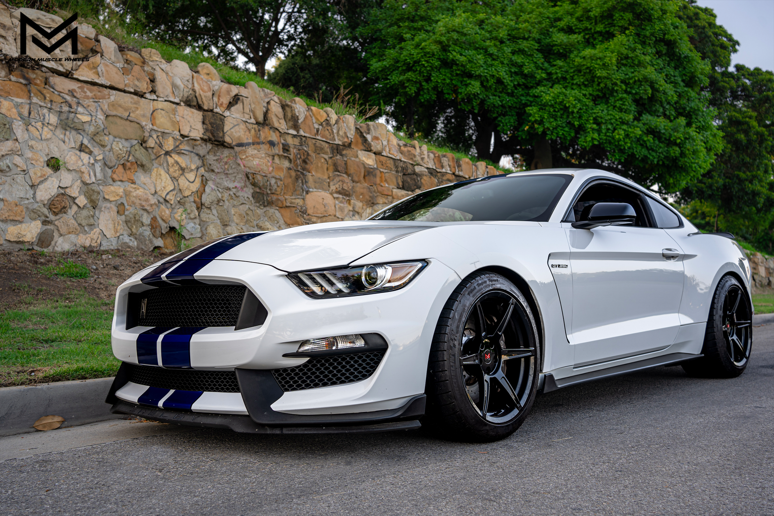 modern-muscle-wheels-forged-venom-series-m6r-gloss-black-shelby-gt350-white-10.png