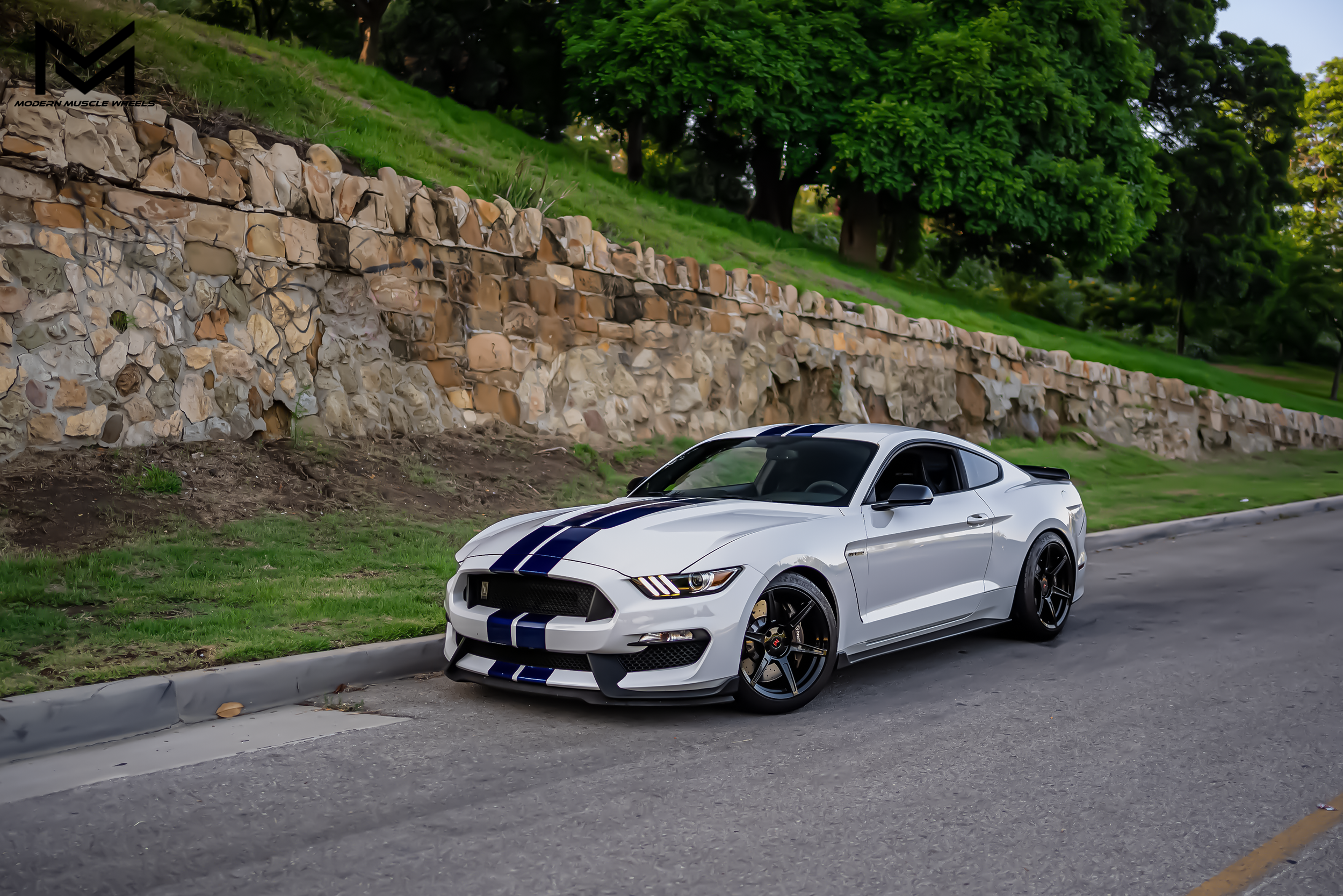 modern-muscle-wheels-forged-venom-series-m6r-gloss-black-shelby-gt350-white-01.png