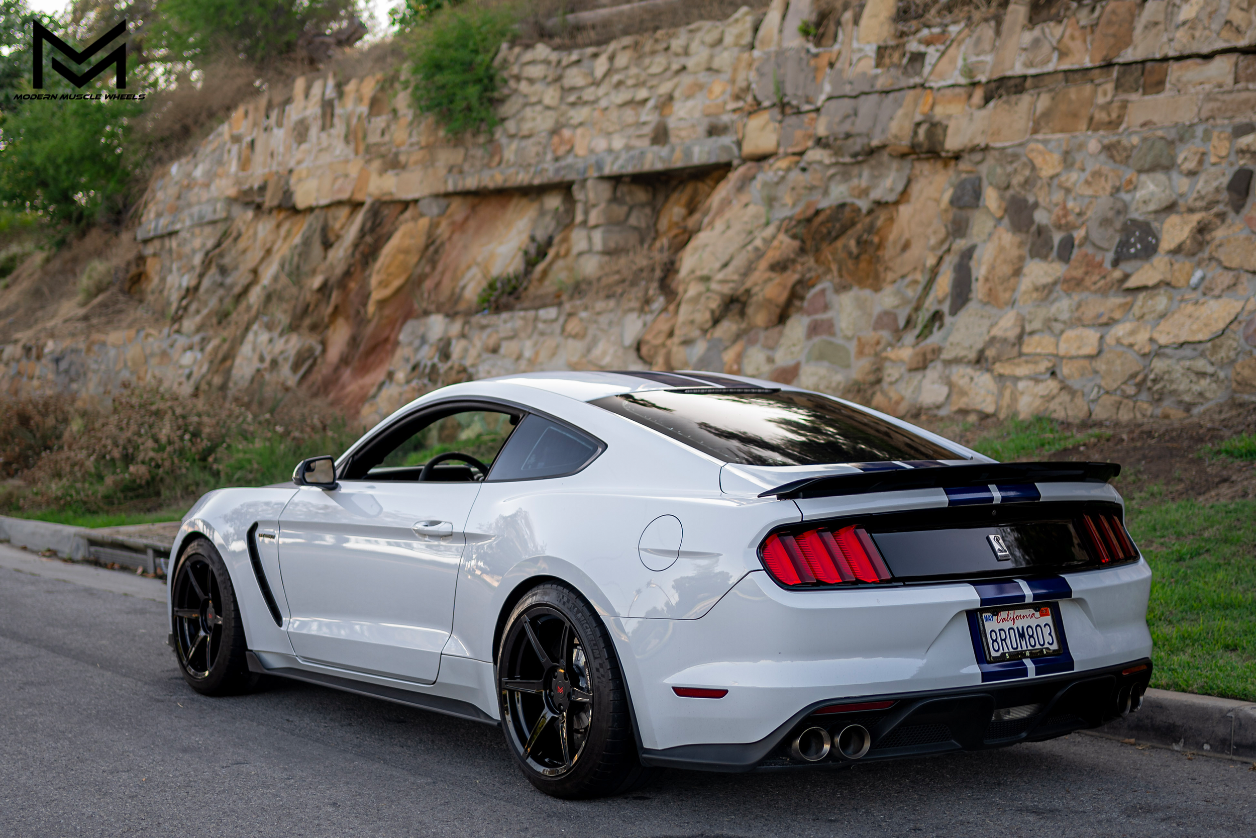 modern-muscle-wheels-forged-venom-series-m6r-gloss-black-shelby-gt350-white-05.png